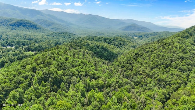 4539 Houge Way, Cosby, TN 37722 - mountain view with a heavily wooded area