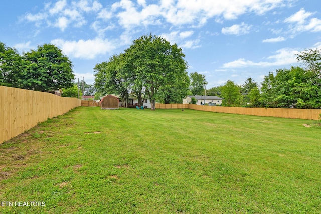 3341 Tabor Loop, Crossville, TN 38571 - view of yard with a shed