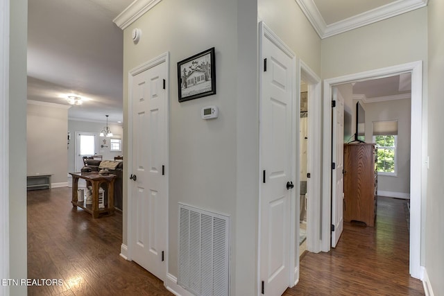 226 Oostanali Way, Loudon, TN 37774 - corridor with dark wood-style floors, crown molding, plenty of natural light, and baseboards