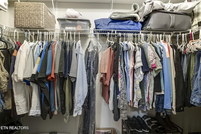 226 Oostanali Way, Loudon, TN 37774 - view of spacious closet