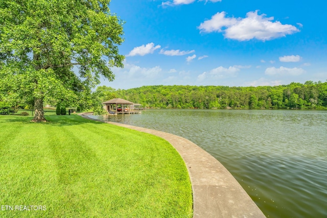 920 Harbor Pointe Way, Knoxville, TN 37922 - water view with a gazebo and a heavily wooded area