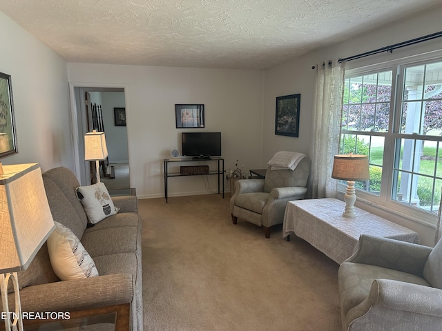 2605 Mountain View Dr, Morristown, TN 37814 - living area featuring plenty of natural light, a textured ceiling, and light carpet
