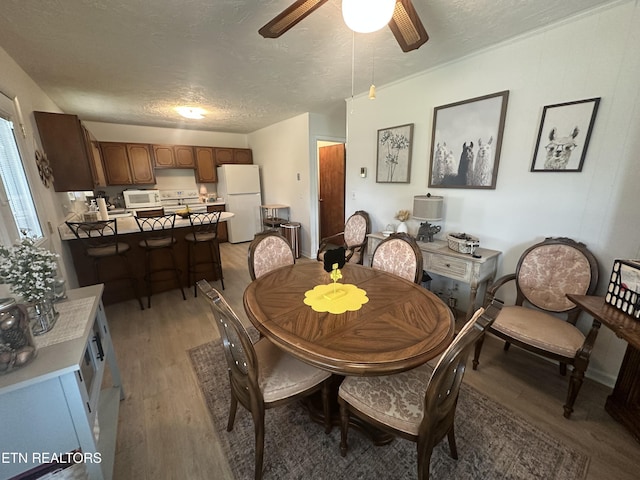2605 Mountain View Dr, Morristown, TN 37814 - dining space with light wood finished floors, ceiling fan, and a textured ceiling