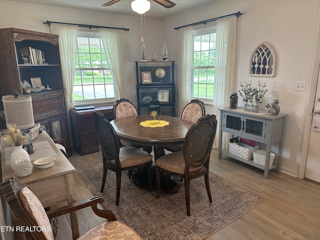 2605 Mountain View Dr, Morristown, TN 37814 - dining space with light wood finished floors, plenty of natural light, a ceiling fan, and crown molding
