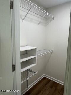 6206 Jim Fox Ln, Powell, TN 37849 - spacious closet featuring wood finished floors