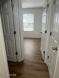 6206 Jim Fox Ln, Powell, TN 37849 - corridor featuring dark wood-style floors and baseboards