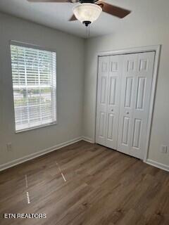 6206 Jim Fox Ln, Powell, TN 37849 - unfurnished bedroom featuring baseboards, wood finished floors, a closet, and a ceiling fan