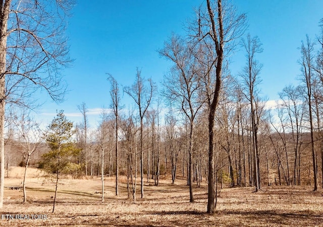 0 Emerald Cove Way, Maynardville, TN 37807