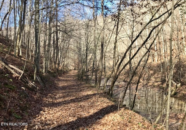 0 Emerald Cove Way, Maynardville, TN 37807