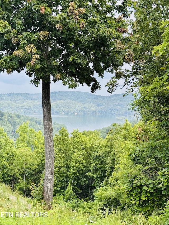 0 Emerald Cove Way, Maynardville, TN 37807