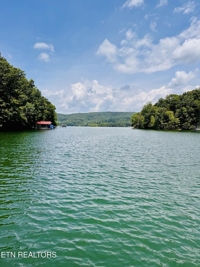 0 Emerald Cove Way, Maynardville, TN 37807
