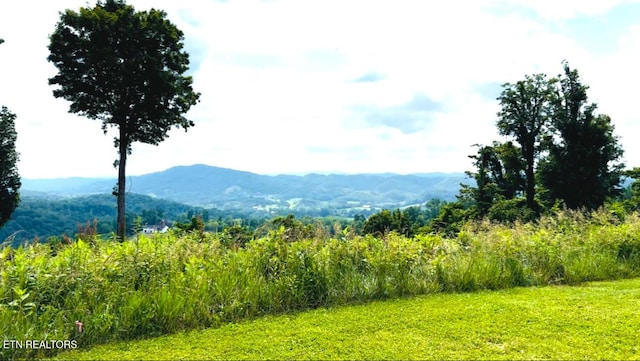 0 Emerald Cove Way, Maynardville, TN 37807