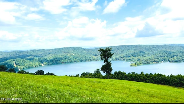 0 Emerald Cove Way, Maynardville, TN 37807