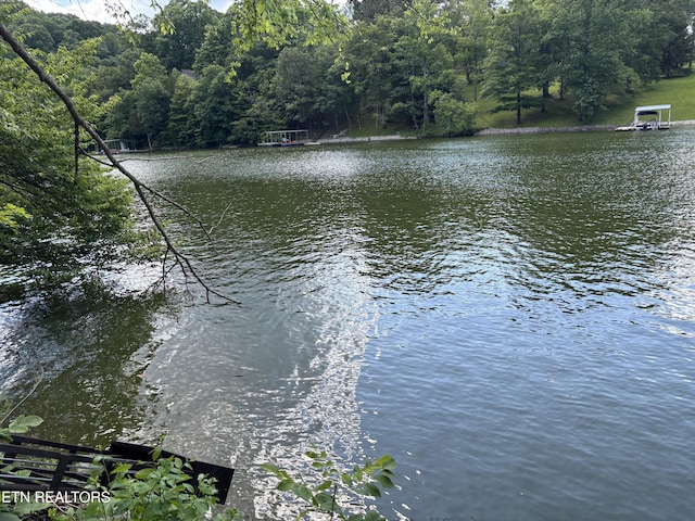 300 Bluff Trce, Jacksboro, TN 37757 - water view with a forest