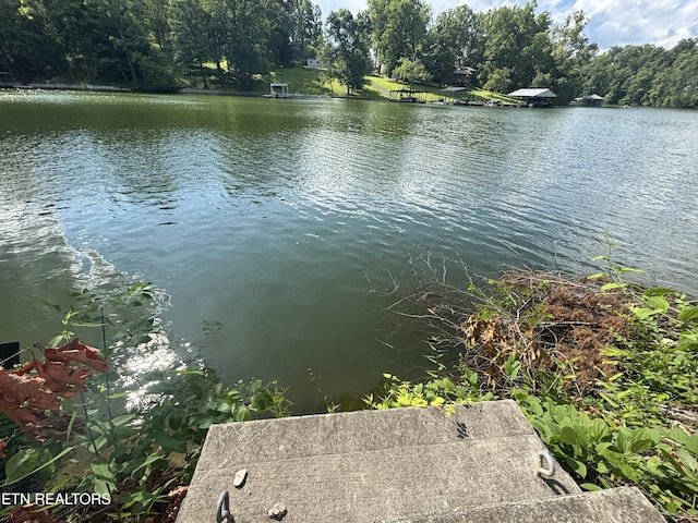 300 Bluff Trce, Jacksboro, TN 37757 - water view