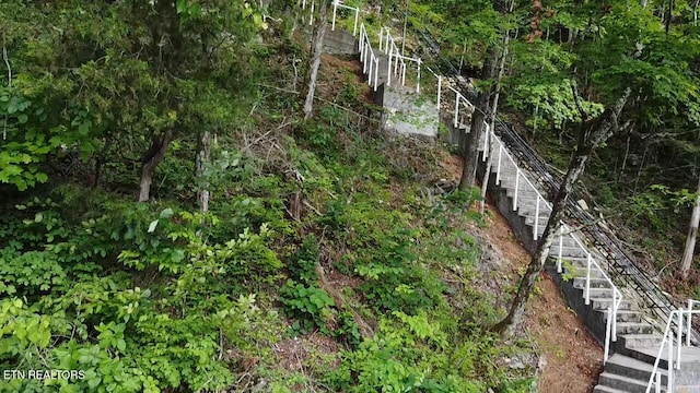 300 Bluff Trce, Jacksboro, TN 37757 - view of undeveloped land