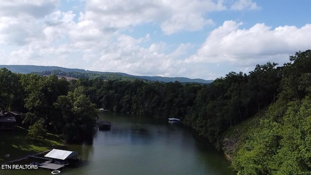 300 Bluff Trce, Jacksboro, TN 37757 - water view with a forest
