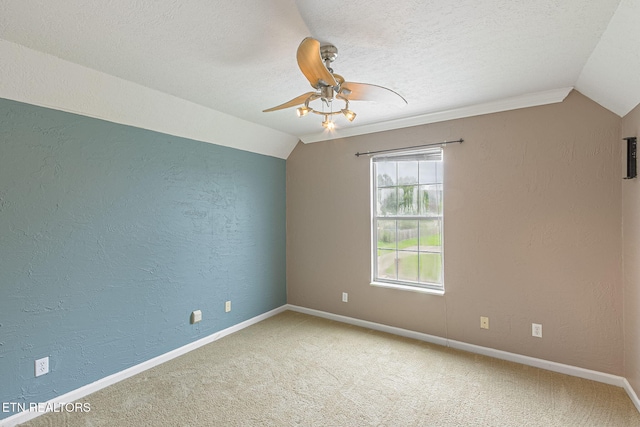 6813 Cardindale Dr, Knoxville, TN 37918 - photo 36