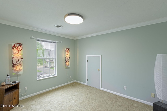 6813 Cardindale Dr, Knoxville, TN 37918 - photo 38