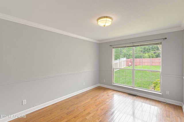 6813 Cardindale Dr, Knoxville, TN 37918 - photo 16