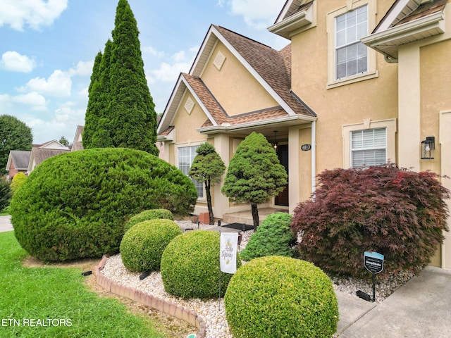 6813 Cardindale Dr, Knoxville, TN 37918 - photo 5