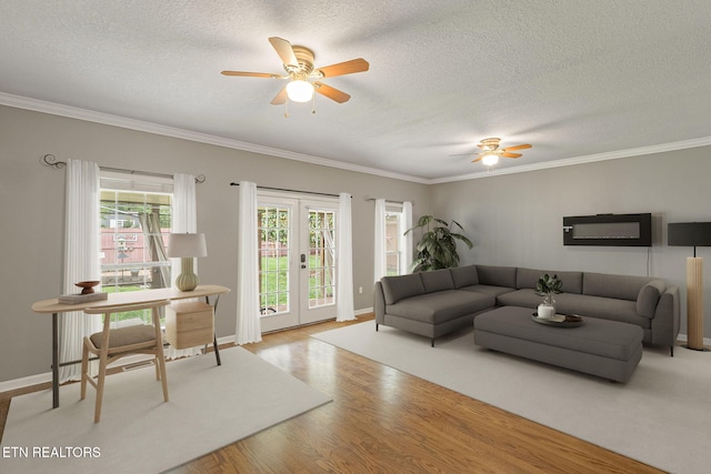 6813 Cardindale Dr, Knoxville, TN 37918 - photo 20