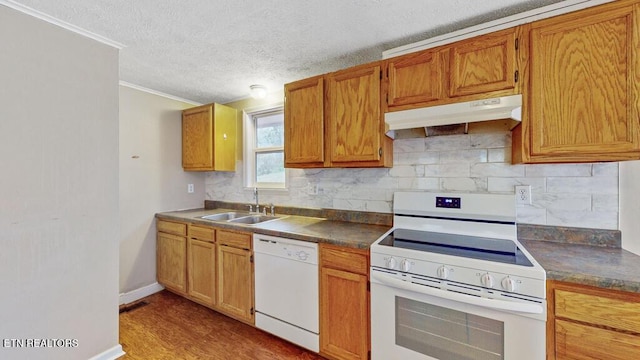 317 Hollifield Dr, Jacksboro, TN 37757 - kitchen with white appliances, under cabinet range hood, a sink, crown molding, and decorative backsplash