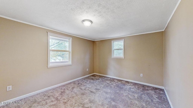 317 Hollifield Dr, Jacksboro, TN 37757 - unfurnished room featuring healthy amount of natural light, baseboards, carpet floors, a textured ceiling, and ornamental molding