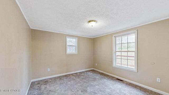 317 Hollifield Dr, Jacksboro, TN 37757 - carpeted spare room with crown molding, baseboards, and a textured ceiling