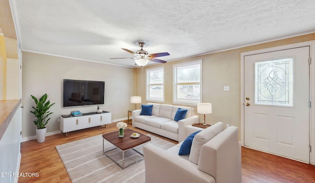 317 Hollifield Dr, Jacksboro, TN 37757 - living room featuring healthy amount of natural light, light wood finished floors, ceiling fan, a textured ceiling, and ornamental molding