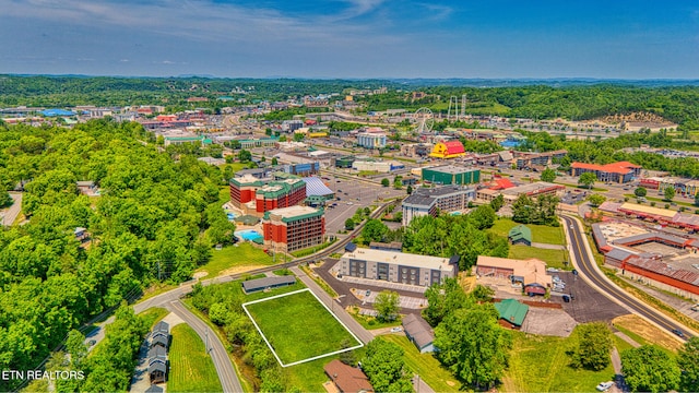 Nancy St, Pigeon Forge, TN 37863