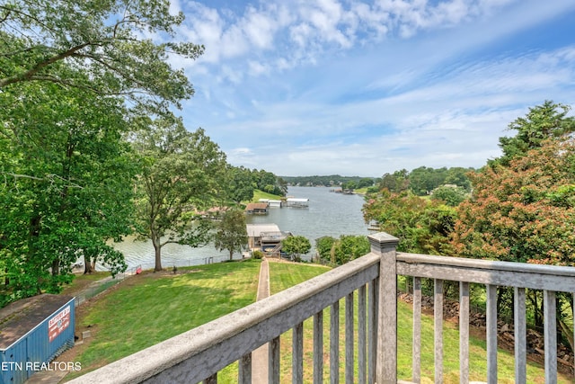 1010 Chula Vista Dr, Friendsville, TN 37737 - photo 24