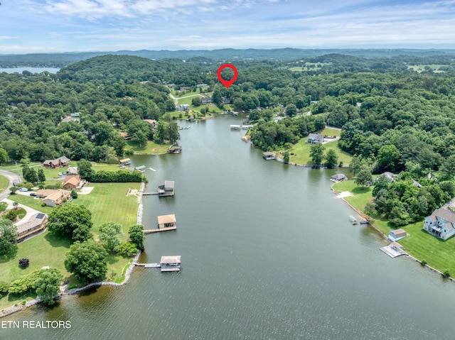 1010 Chula Vista Dr, Friendsville, TN 37737 - photo 41
