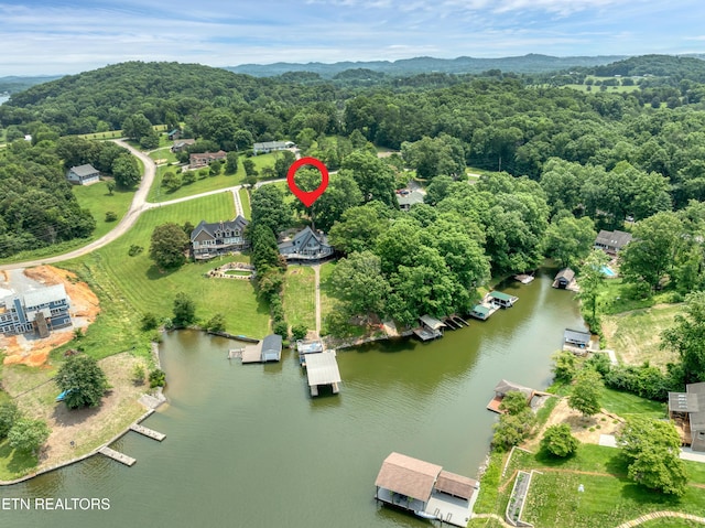 1010 Chula Vista Dr, Friendsville, TN 37737 - photo 40