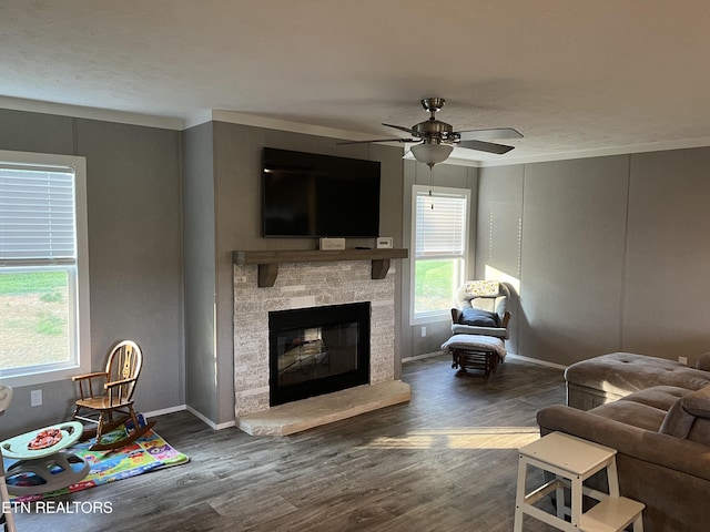 593 Summerville Rd, Kingsport, TN 37663 - photo 17