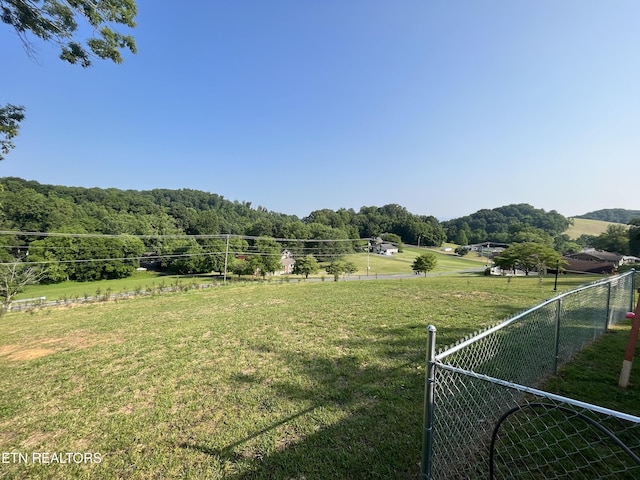 593 Summerville Rd, Kingsport, TN 37663 - photo 9