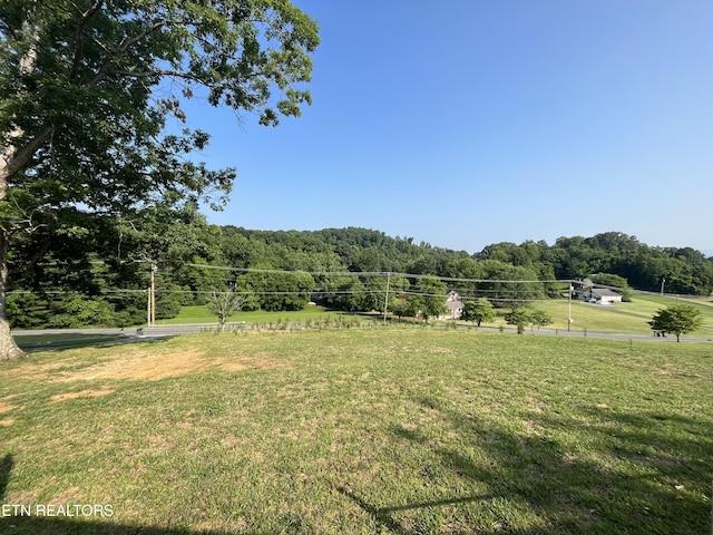 593 Summerville Rd, Kingsport, TN 37663 - photo 11