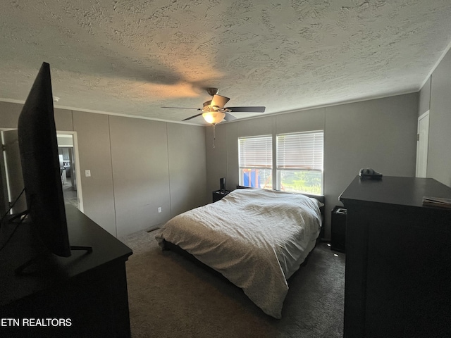593 Summerville Rd, Kingsport, TN 37663 - photo 38