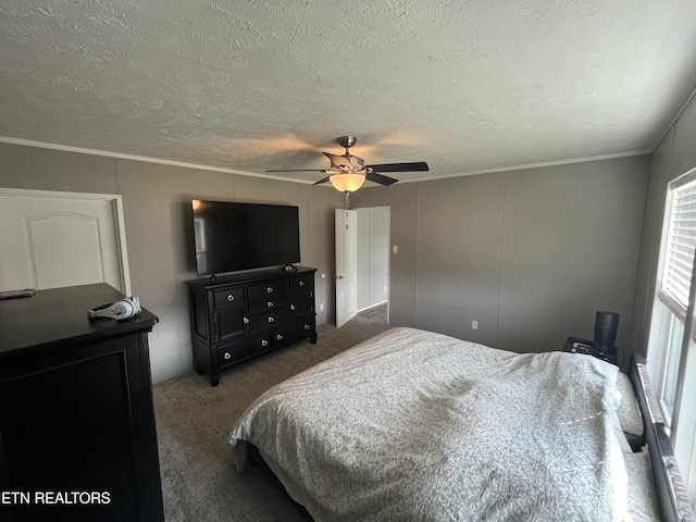 593 Summerville Rd, Kingsport, TN 37663 - photo 39