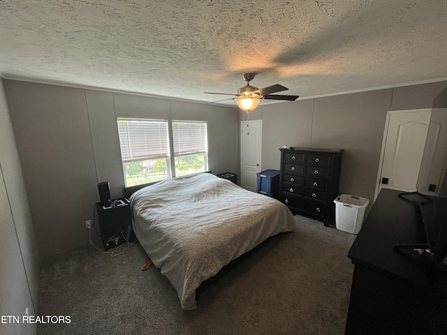 593 Summerville Rd, Kingsport, TN 37663 - photo 40