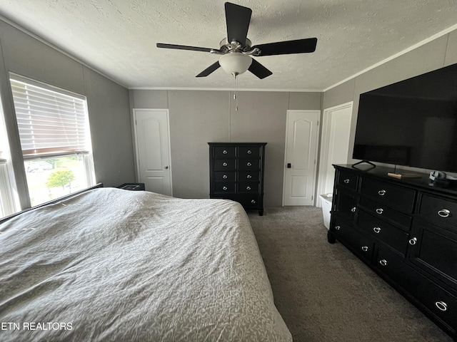 593 Summerville Rd, Kingsport, TN 37663 - photo 41