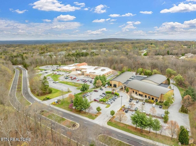 40 Kingsley Ct, Crossville, TN 38558 - photo 54