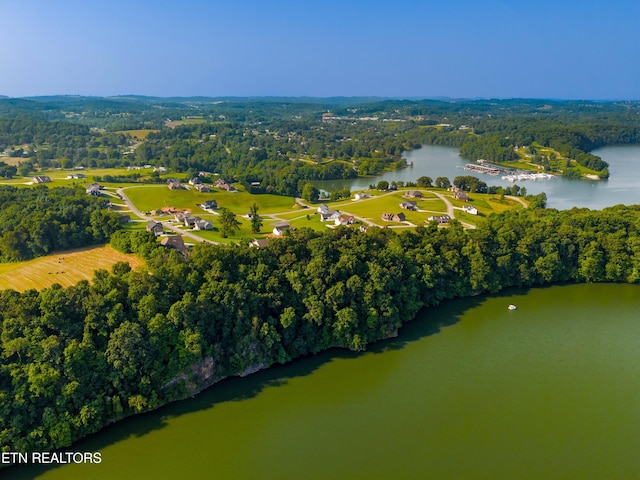 4153 Harbor View Dr, Morristown, TN 37814 - aerial view of a nearby body of water and a heavily wooded area