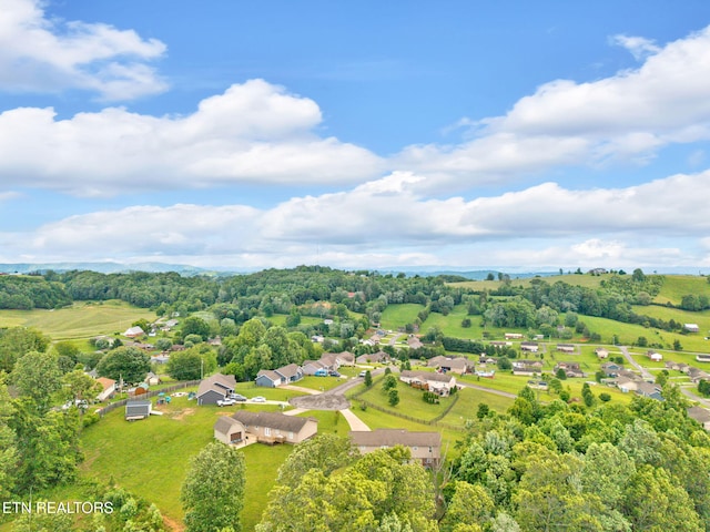 142 Breezy Ln, New Tazewell, TN 37825 - aerial view of a tree filled landscape