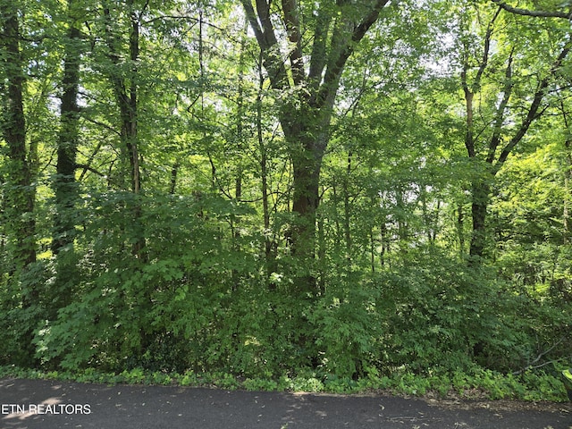 0 NE Snowood Dr, Knoxville, TN 37918 - photo 1