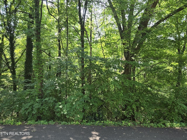 0 NE Snowood Dr, Knoxville, TN 37918 - photo 2