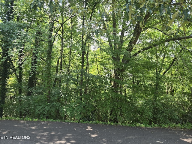 0 NE Snowood Dr, Knoxville, TN 37918 - photo 3