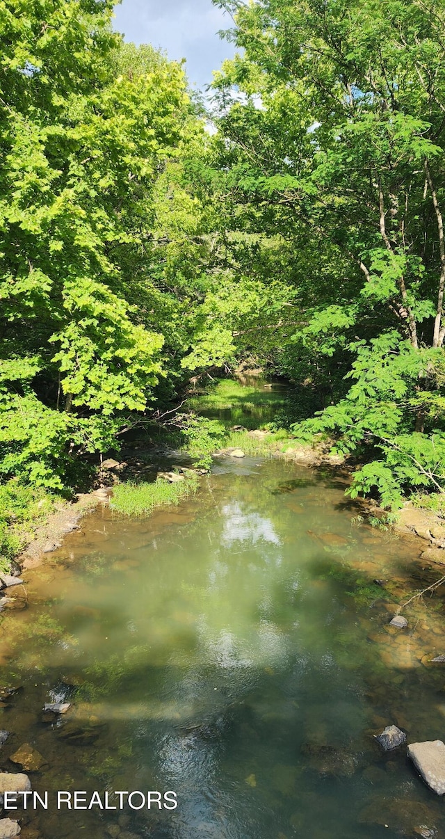 Lower Capuchin Rd, Winfield, TN 37892