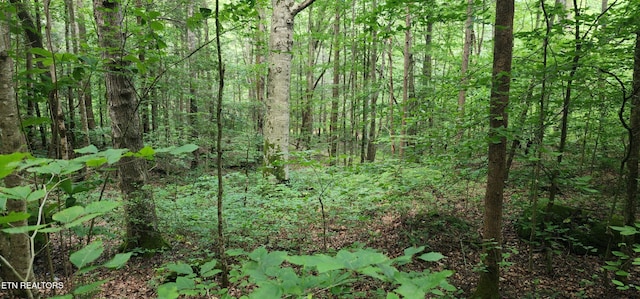 Lower Capuchin Rd, Winfield, TN 37892