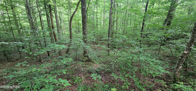Lower Capuchin Rd, Winfield, TN 37892